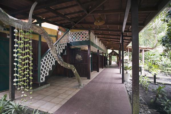 Camarona Caribbean Lodge Puerto Viejo de Talamanca Exterior foto
